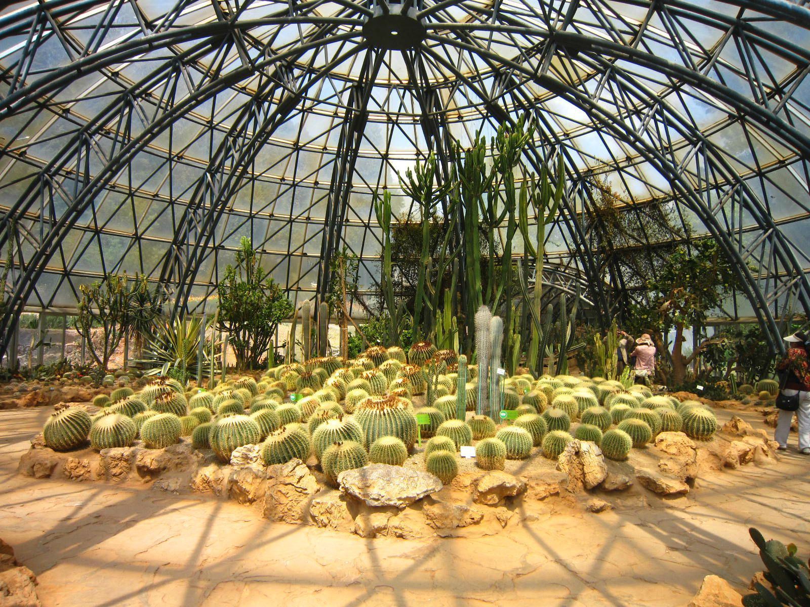 昆明有哪些景点值得去游玩呢,昆明有哪些旅游景点比较好玩的