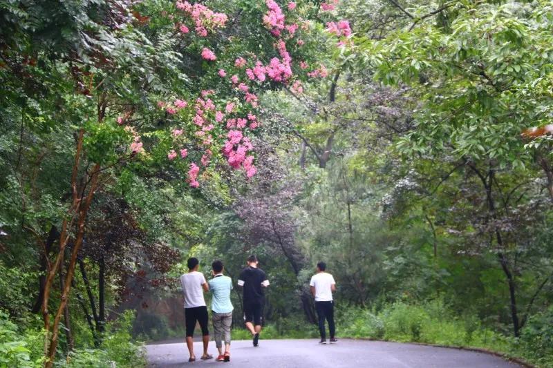 抱犊寨高考生优惠,中考生免费福利