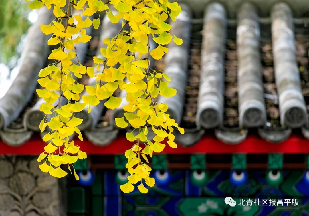 处暑将至暑渐消凉意至养生需讲究,处暑的节气特点处暑养生常识