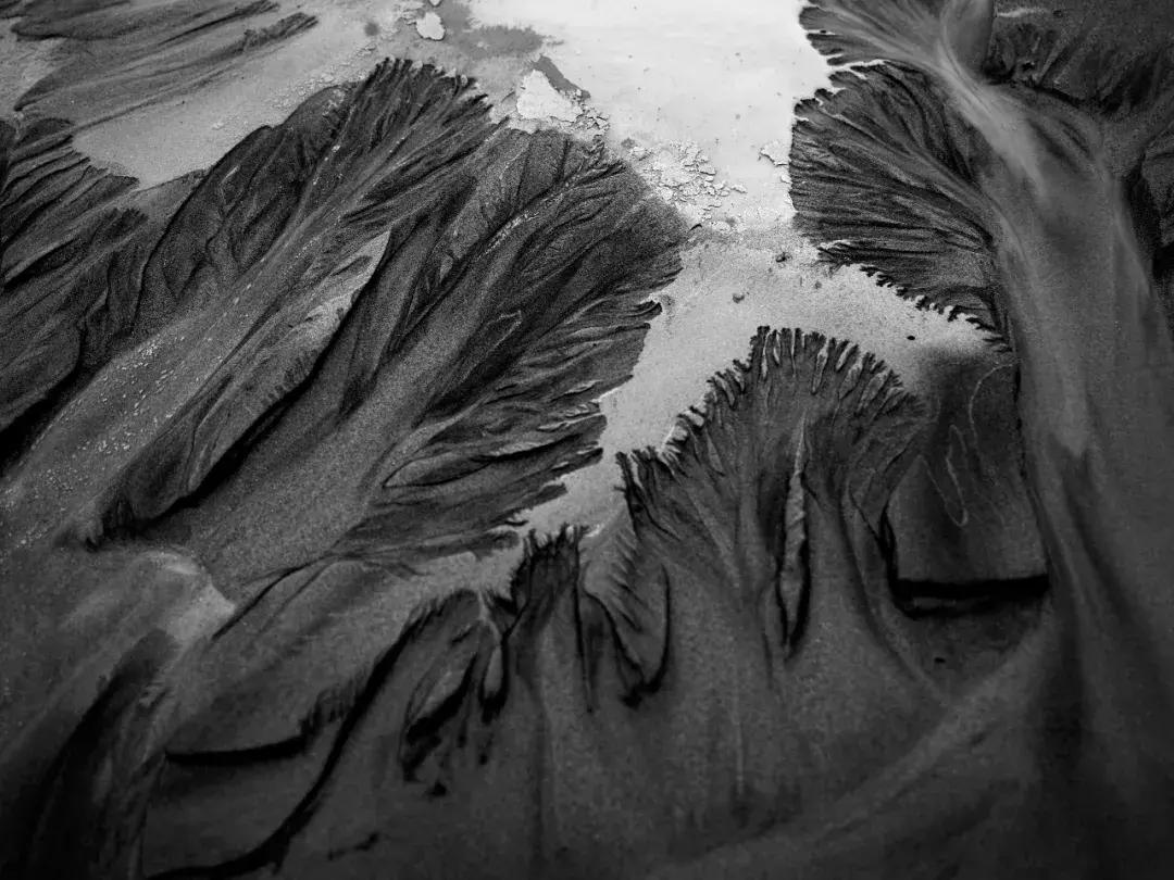 影博会,影展展会