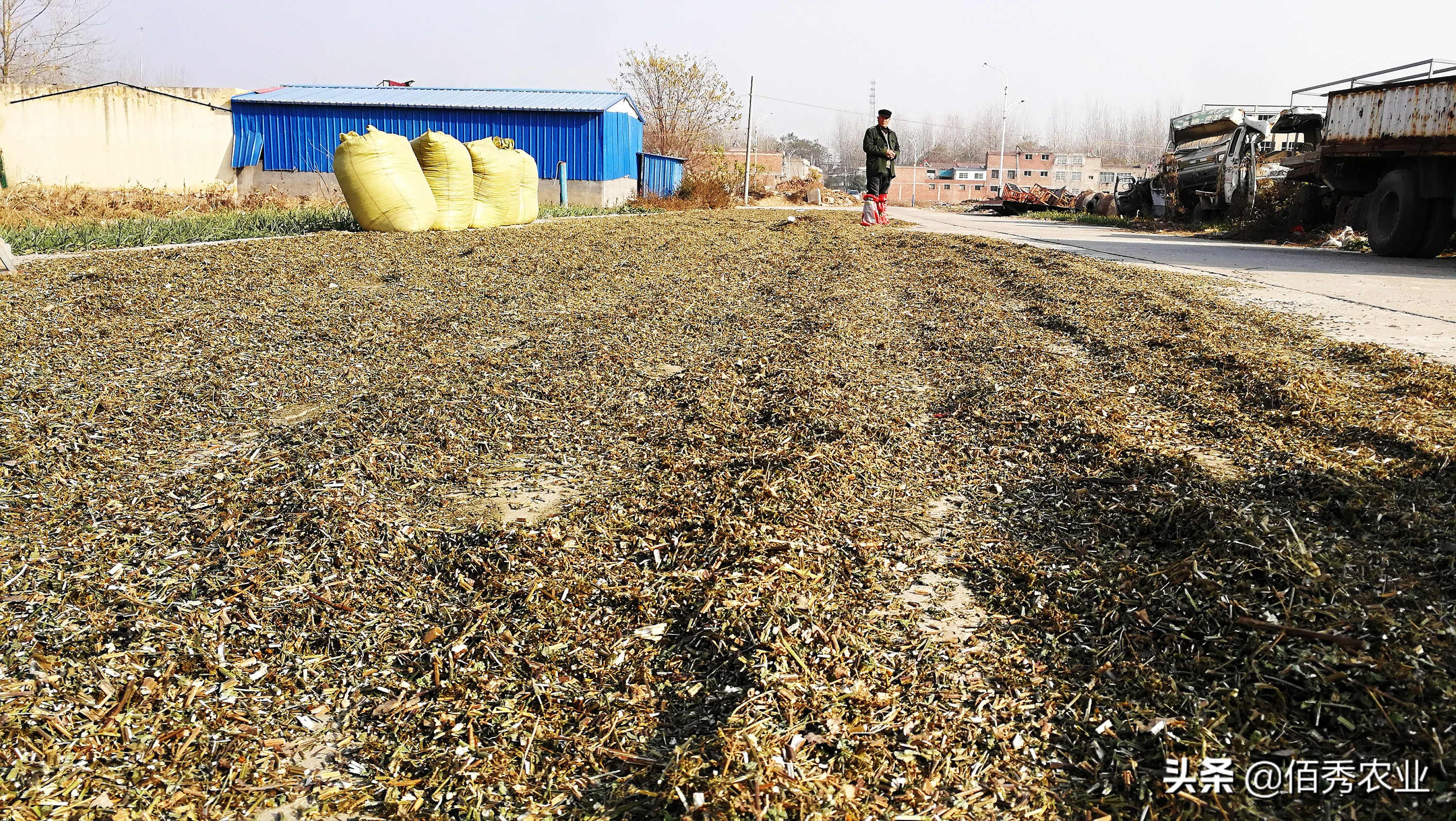 40万在农村能做什么,不想外出打工的农民能干什么