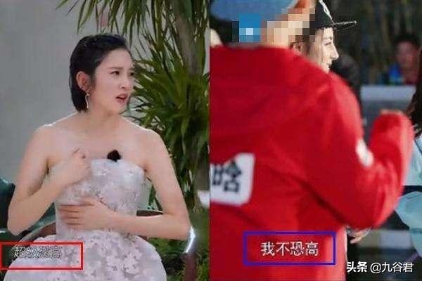 隐婚、整容还有？！一起看看明星们最不想让人知道的秘密。