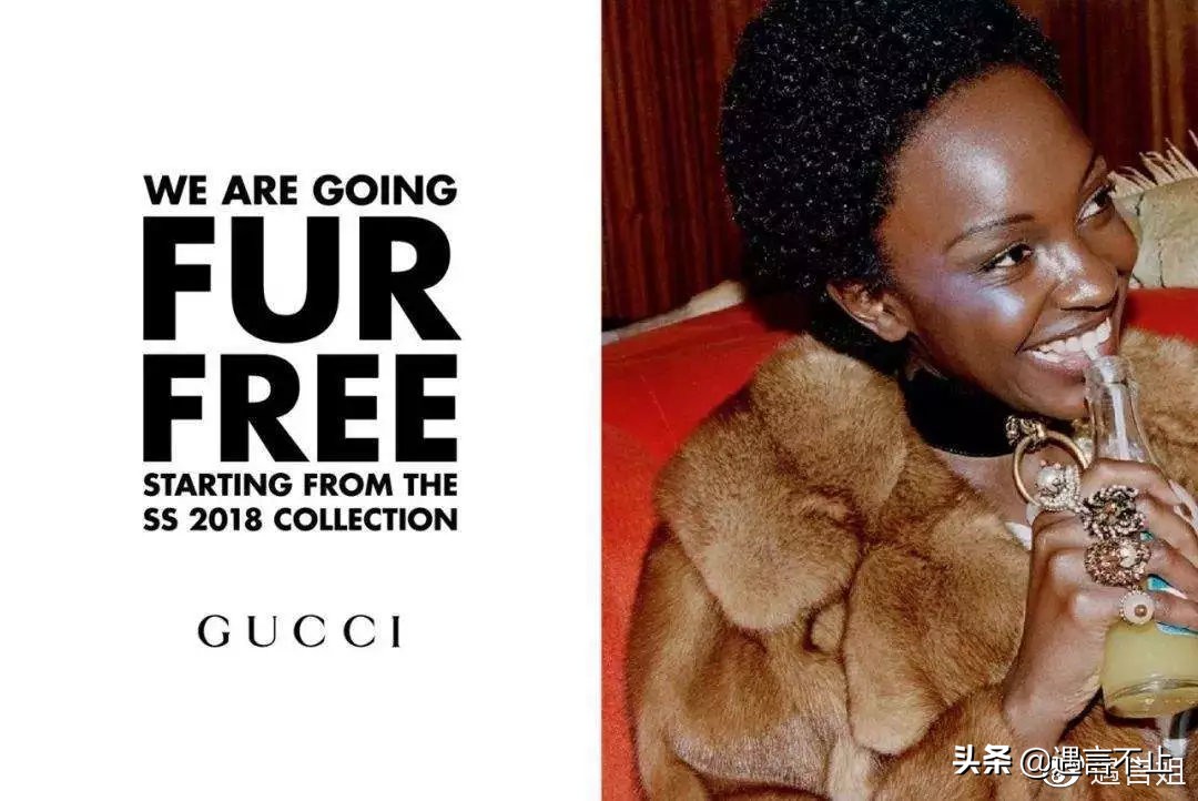 英国女王正式宣布拒绝皮草，愿世间没有血淋淋的时尚