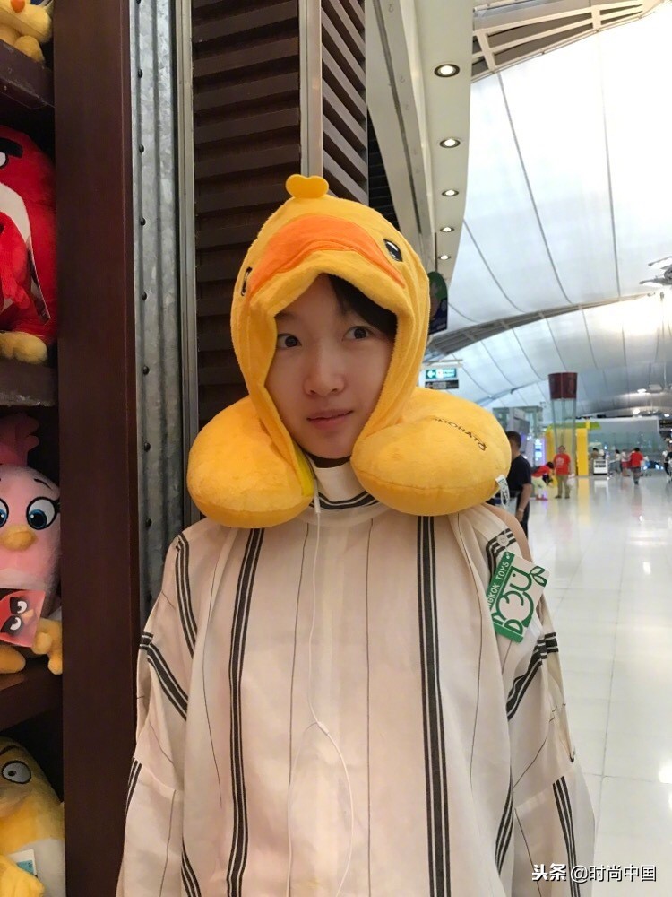 倪妮同款小猫咪,倪妮李宇春奇妙的动物