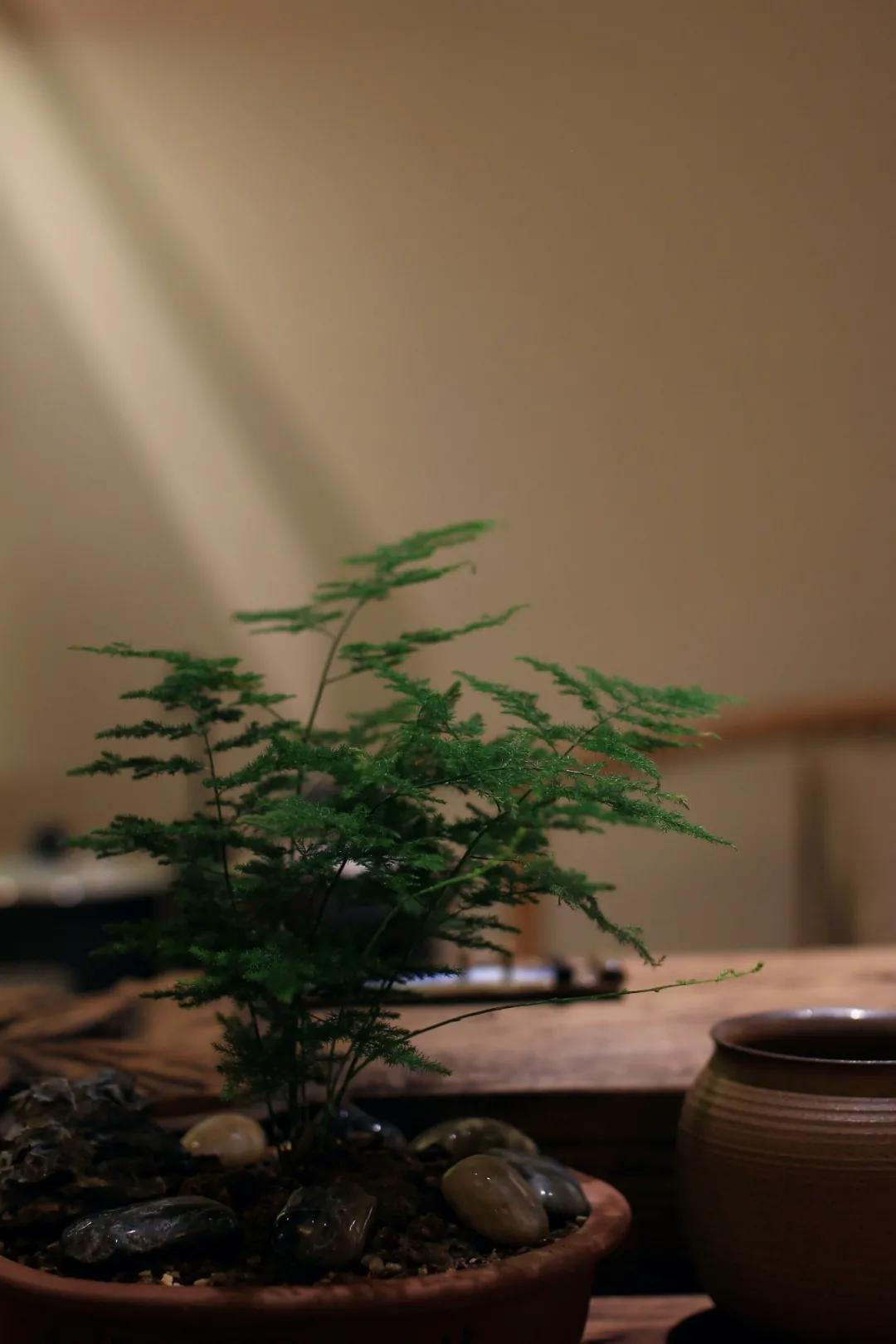 001「九点一刻茶空间」之北人茗茶乐模店