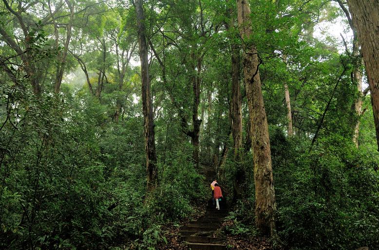 中国绿都最氧三明,中国最氧三明花海
