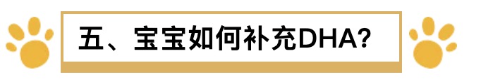 孕期dha什么时候补,孕期有必要补DHA吗