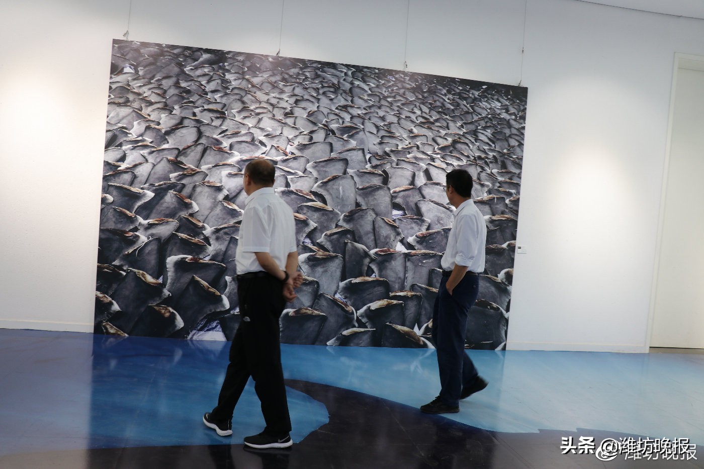 第15届国际摄影艺术展,2024国际摄影展