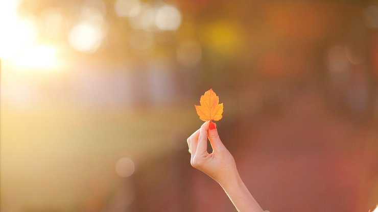 女人最喜欢的男人往往有3种，尤其对最后一种，没有抵抗力