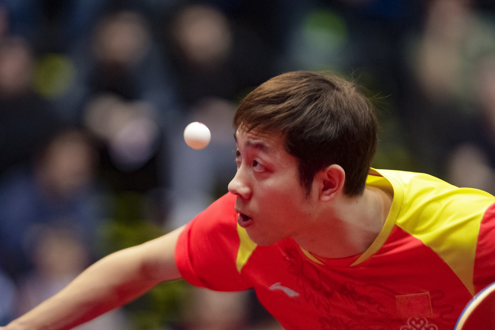 国乒备战布达佩斯世锦赛,国乒布达佩斯公开赛