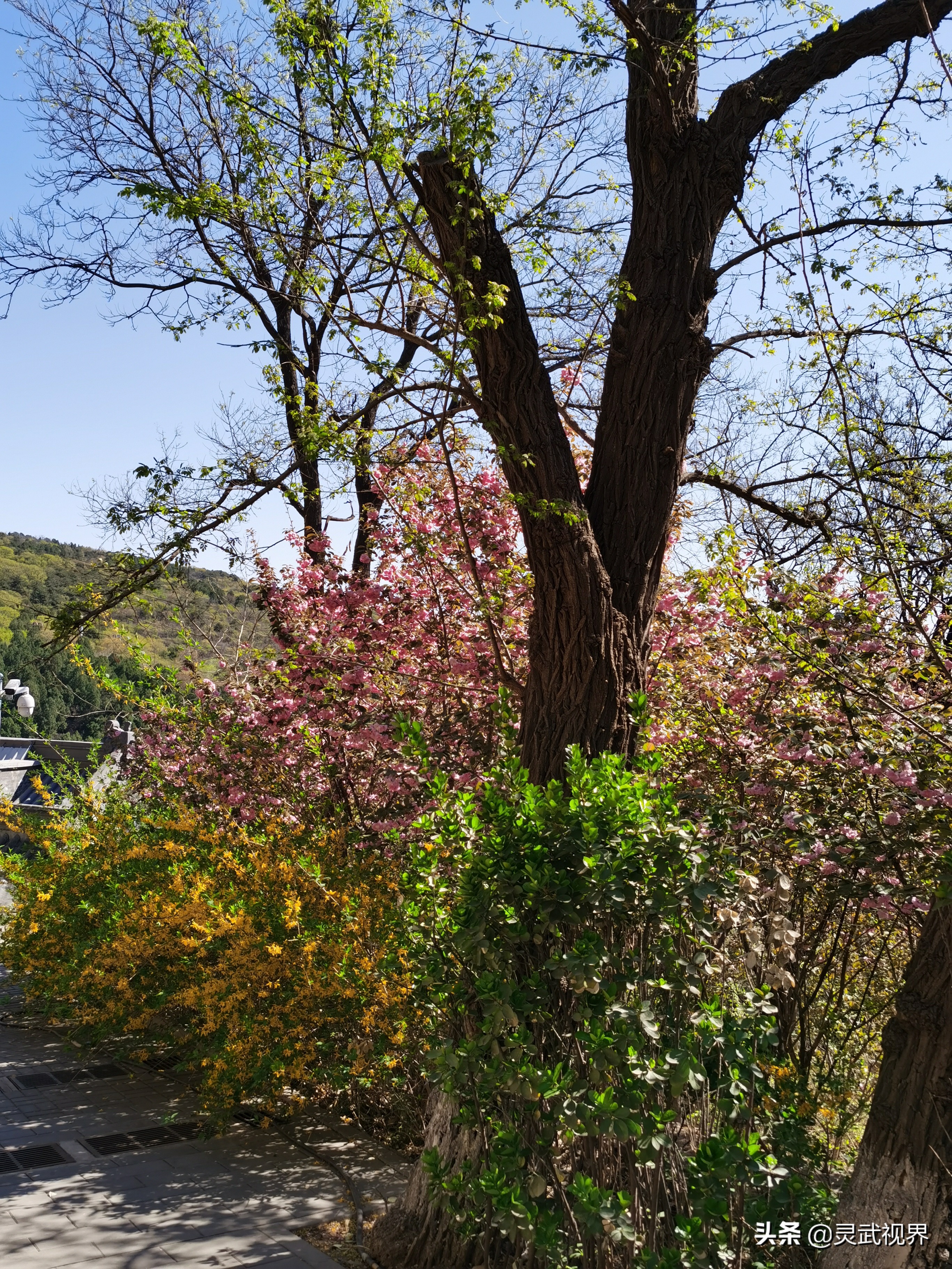 带你看看不一样的装饰,带你看看不一样的家