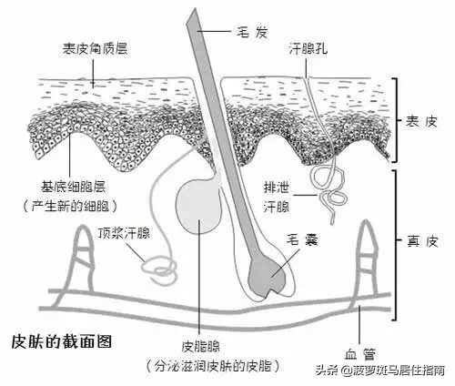 最简单的脱毛大法,推荐5个脱毛方法