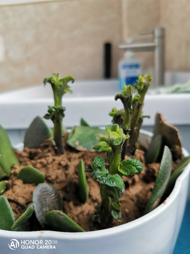 小三阳不需要治疗代表什么,小三阳应该没关系吧