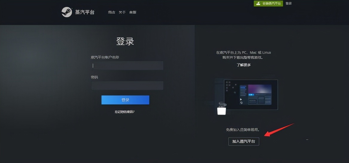 蒸汽平台和steam的钱包,蒸汽平台和steam的区别