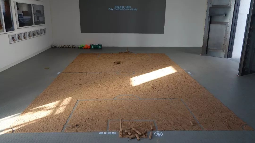 石家庄有没有室内足球场,石家庄免费的展馆有哪些