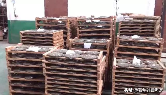老徐谈普洱茶知识,老徐谈茶易武茶