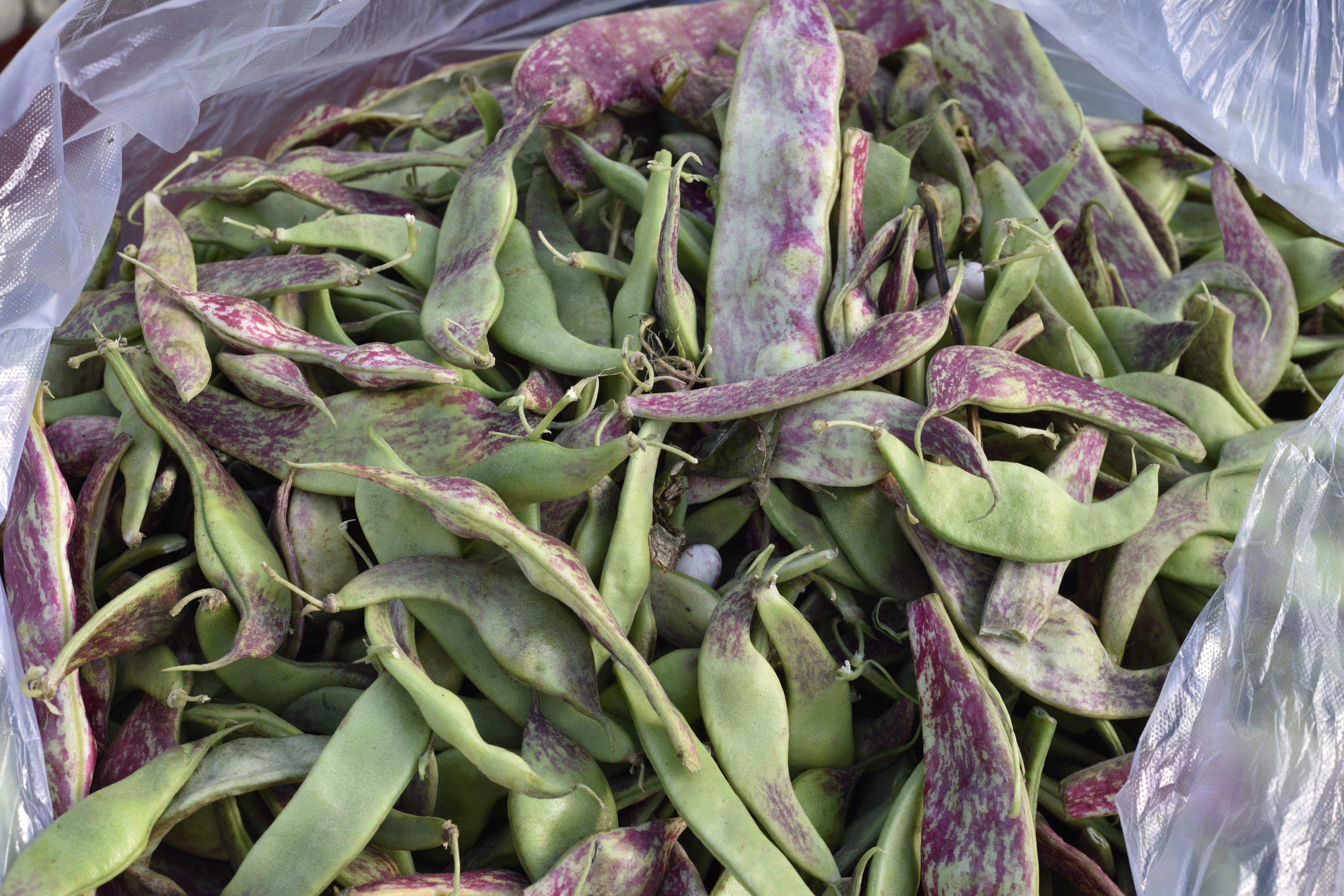 什么蔬菜灭绝了,盘点那些曾经的蔬菜