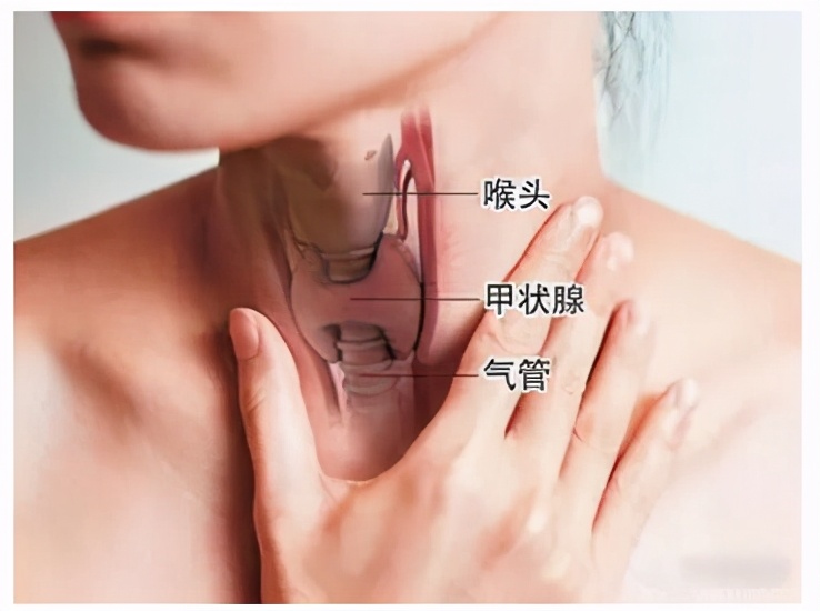 商丘→郑州，好好喘口气就这么难吗