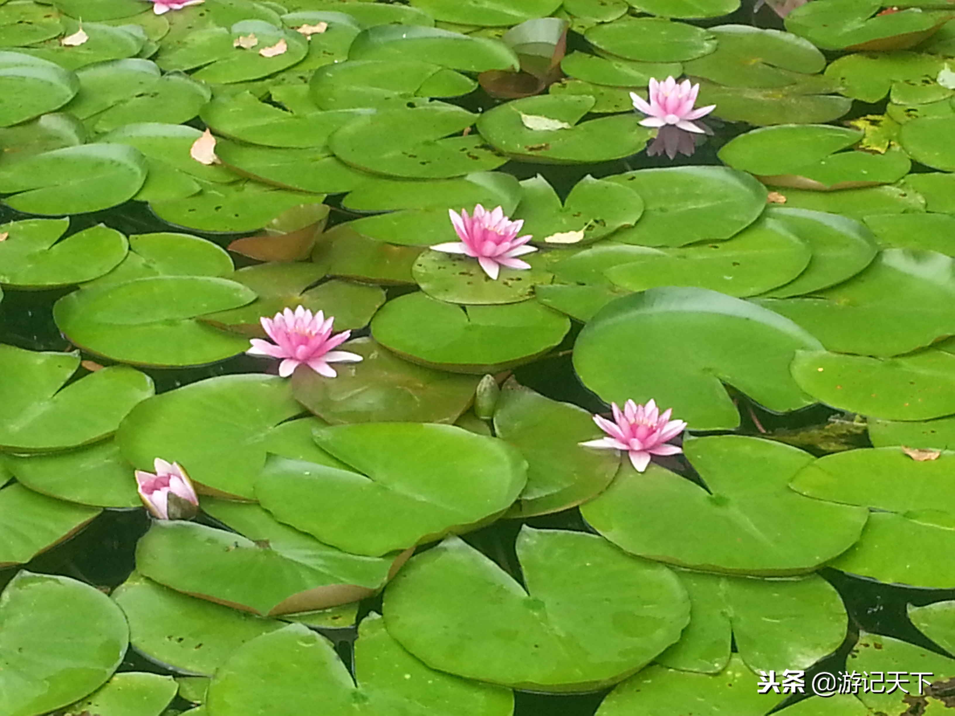 亚洲第一瀑——黄果树大瀑布