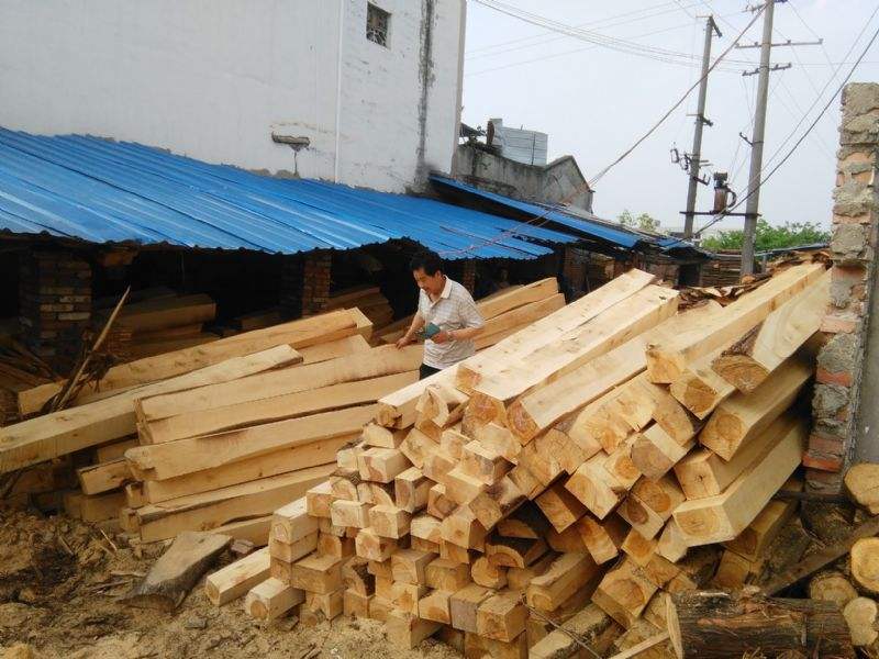 2100多年前古墓出土神秘文物,四大古墓的墓主都是谁