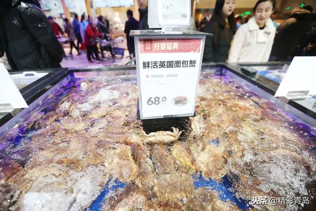 青岛盒马鲜生卓越皇后道店,青岛跑盒马鲜生怎么样