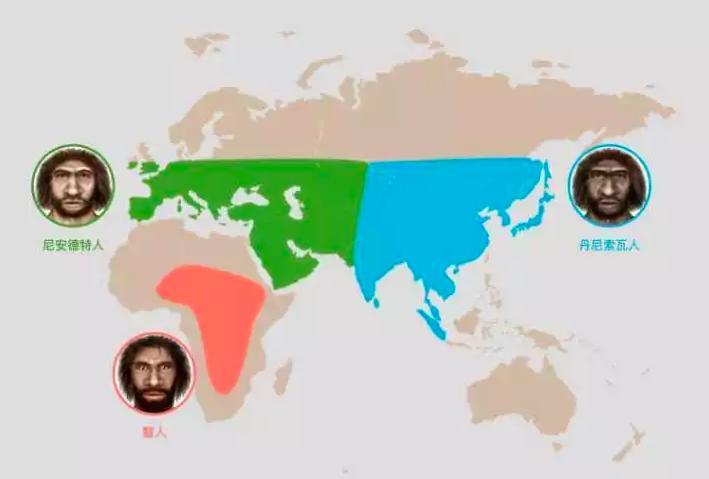 东亚人为什么有尼安德特人基因,尼安德特人和智人的混血