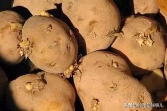 这道夏天常吃的菜，把4岁娃送进医院抢救