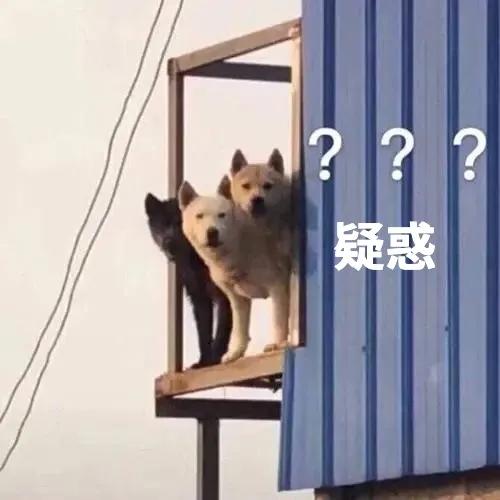 被保险忽悠,保险被销售误导怎么办