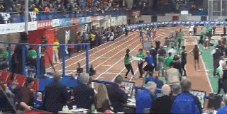 搞笑斑马线段子,搞笑斑马线不礼让行人