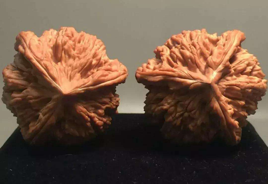 什么样的核桃漂亮,什么样的核桃不苦涩