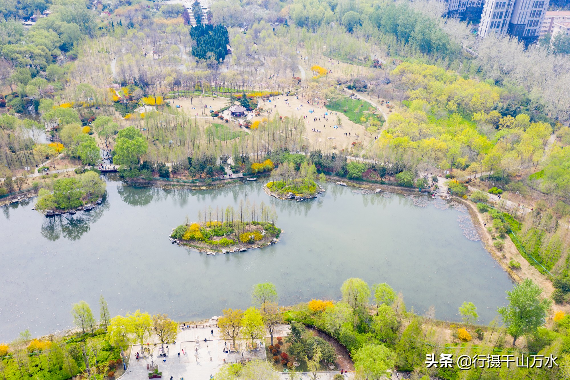 济南森林公园色彩斑斓秋意渐浓,济南今年的森林公园风景如画