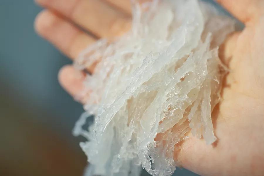 泡发好的燕窝是冷冻还是冷藏,泡发燕窝的水可以直接炖燕窝吗