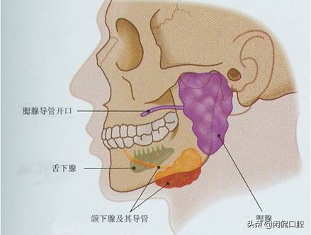 腮腺炎几种类型,腮腺炎的症状用什么药
