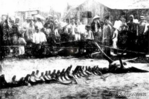 世界六大未解之谜不可能是一样的,中国四大未解之谜