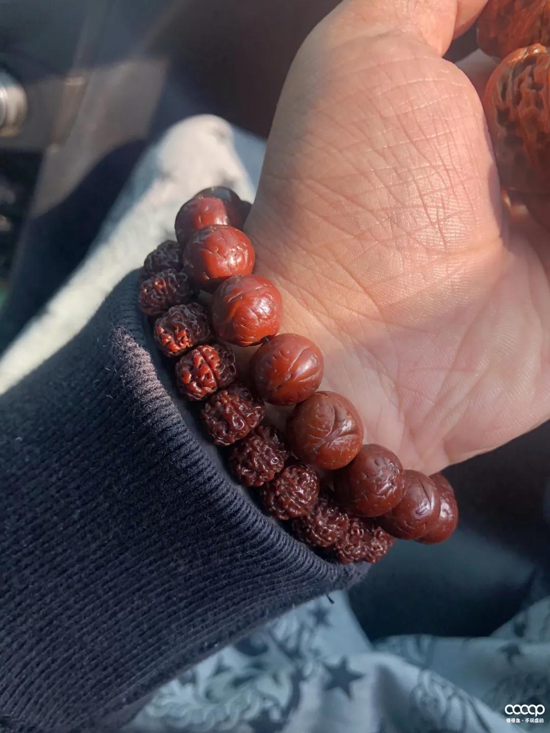 圈子人称“尿素手”！他玩凤眼，一年比我5年玩得还好