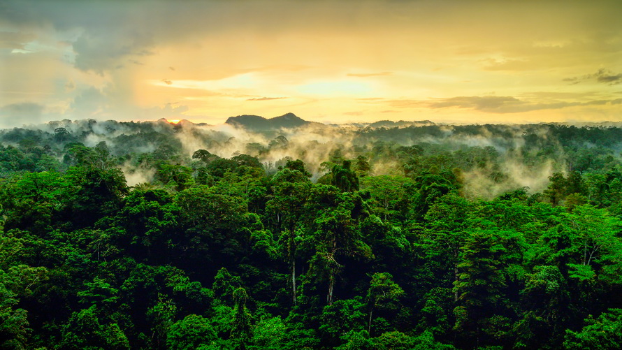 创维酷开p50是真4k吗,创维酷开p5065寸价格