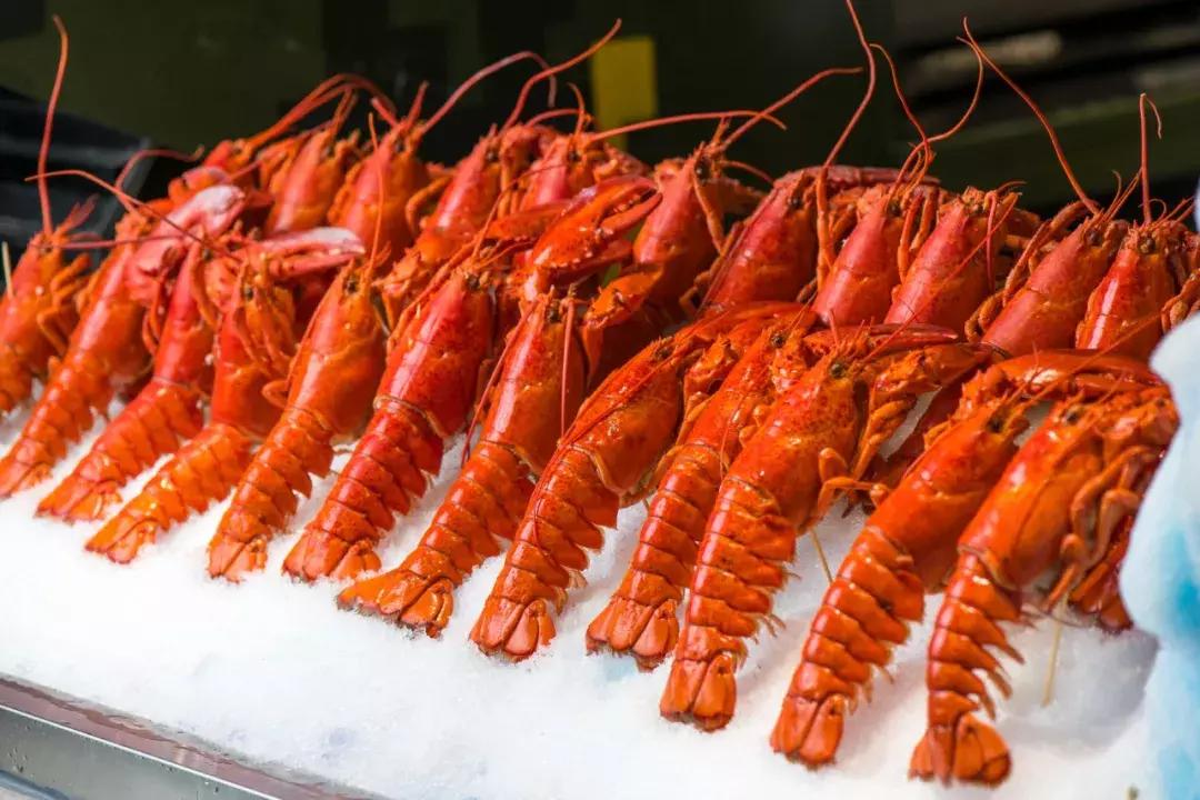 帝王蟹自助在哪里吃比较好,帝王蟹随便吃后续