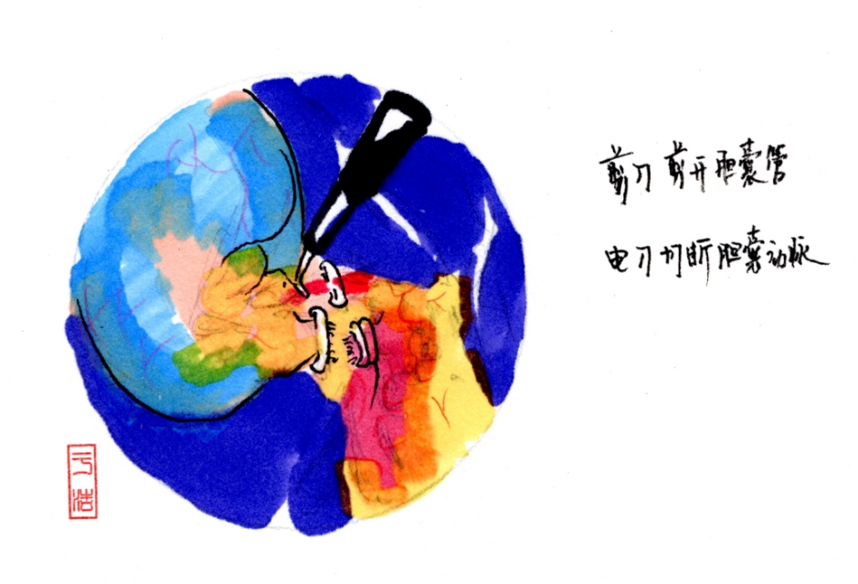 舍利子是什么意思,舍利子背后的故事