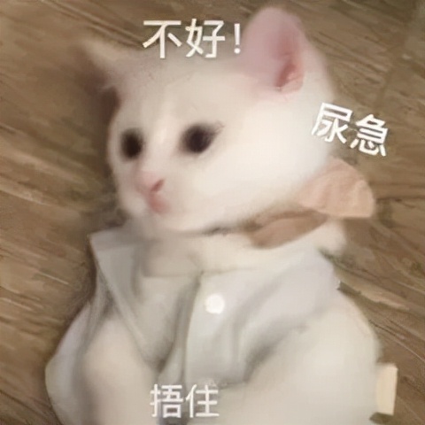 肾虚体寒喝什么,肾虚体寒需要治疗吗