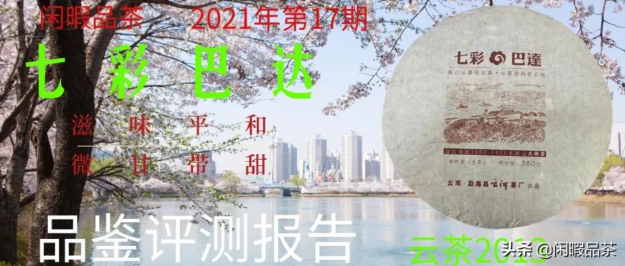 闲暇品茶,云河茶厂和字饼生茶