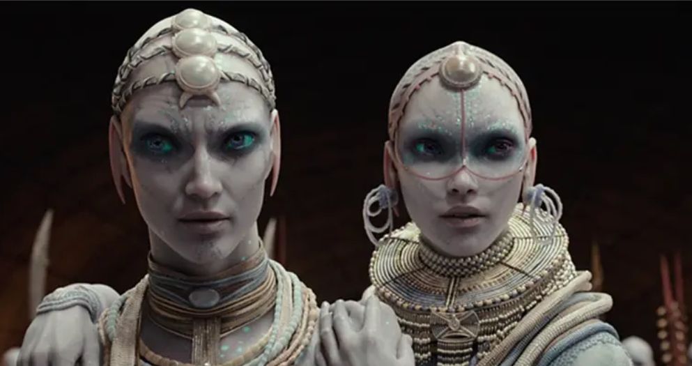 好不容易引进的*级A**大片，赔死了