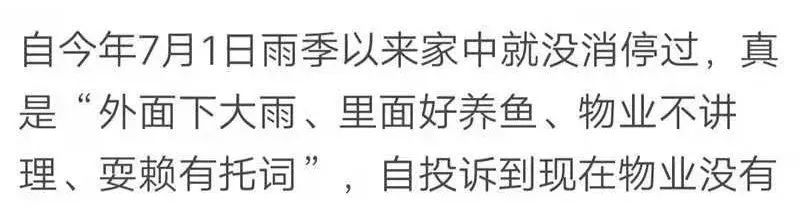 殴打业主处理结果,殴打业主