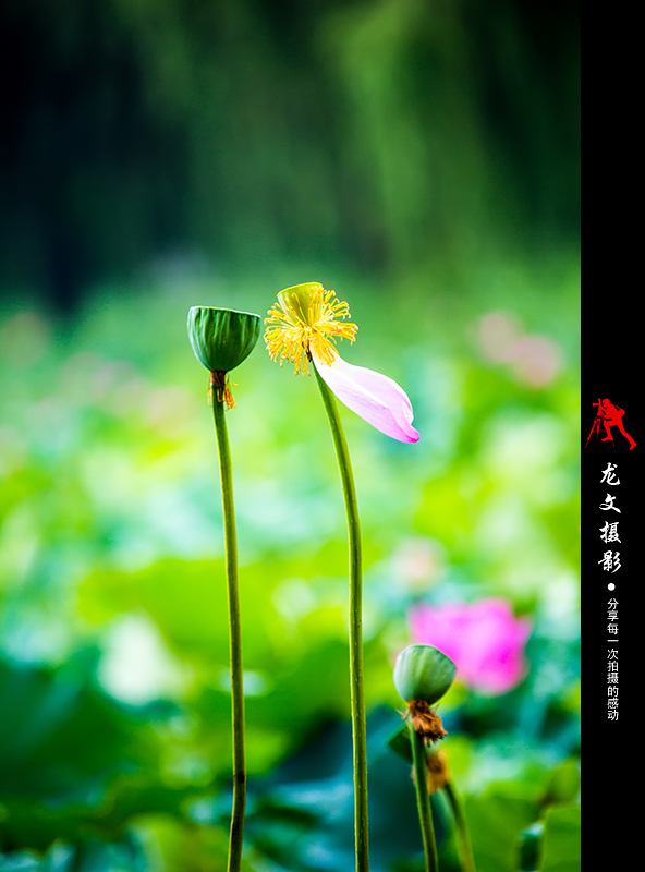 灏煎悍澶氶噸鏇濆厜鏁欑▼,浣宠兘澶氶噸鏇濆厜鏁欑▼