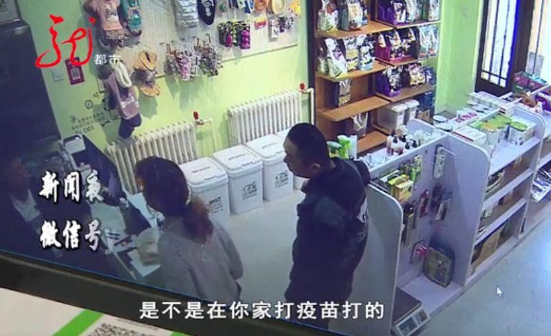 为什么宠物狗打了疫苗还会得病,宠物狗打了疫苗为什么会死