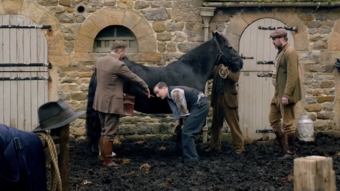 爱尔兰与英国对比,爱尔兰国家发达吗