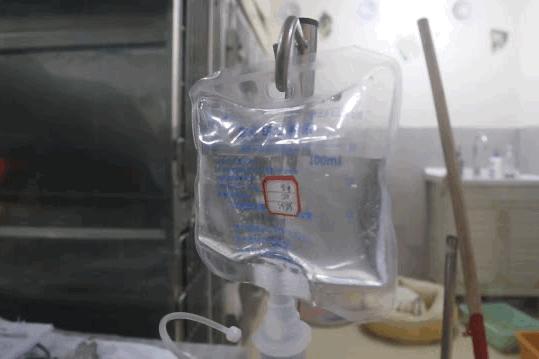 卡布：来自一只三个月大的边境牧羊犬，一封遗留在人间的草稿