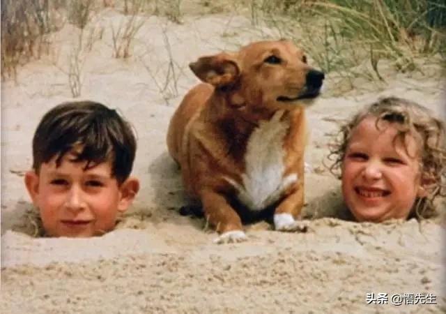 霍金年轻时照片有多帅,霍金21岁时的照片