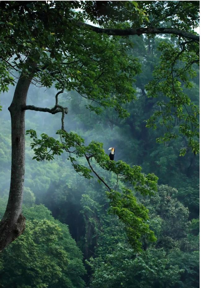 云南瑞丽腾冲离缅甸有多远,瑞丽与腾冲地理位置