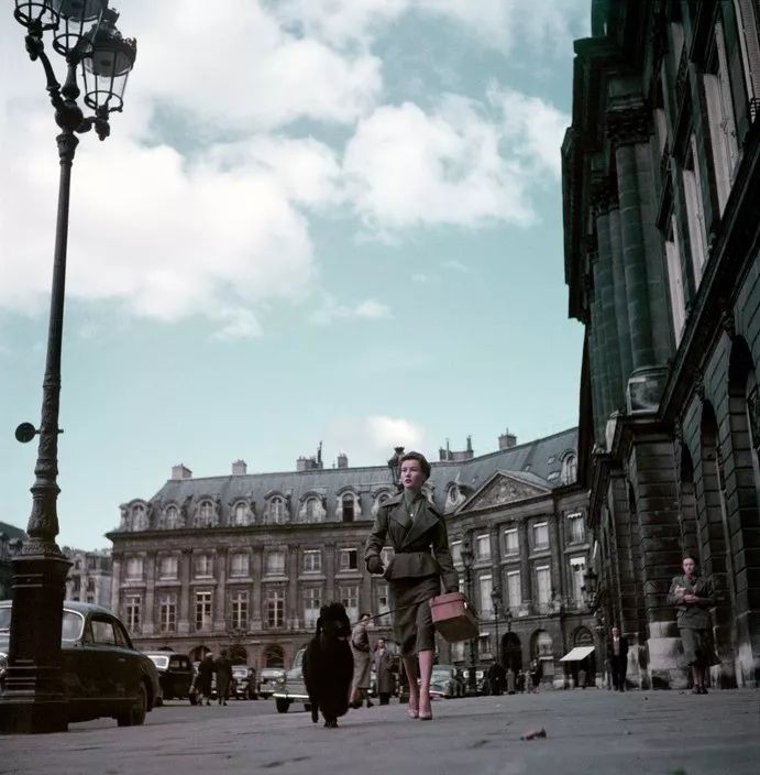 犬的记忆｜世界摄影经典