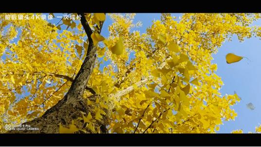 华为nova9视频拍摄效果,华为nova9pro如何拍vlog